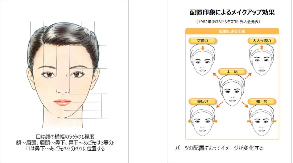 日本人女性の「平均顔」と印象による顔の特徴を解析 花王 医薬通信社