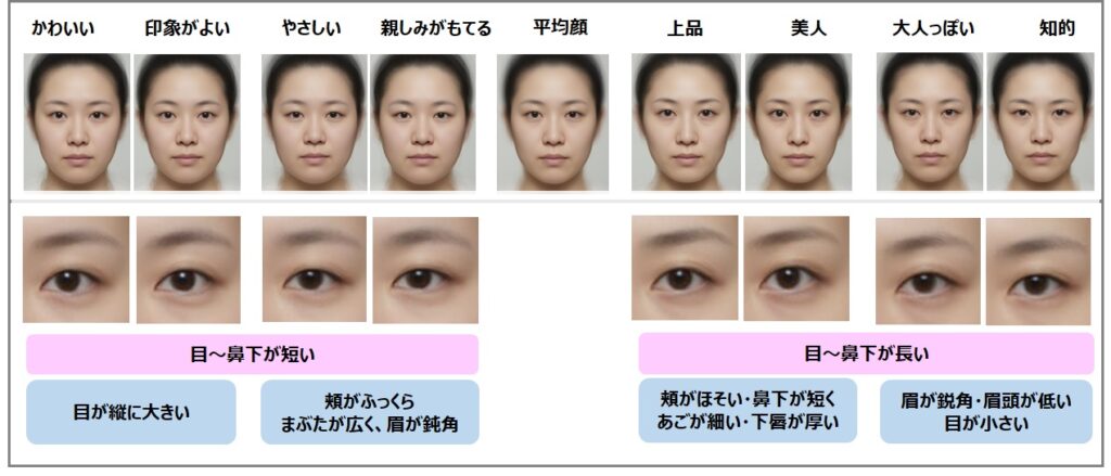 日本人女性の「平均顔」と印象による顔の特徴を解析 花王 医薬通信社