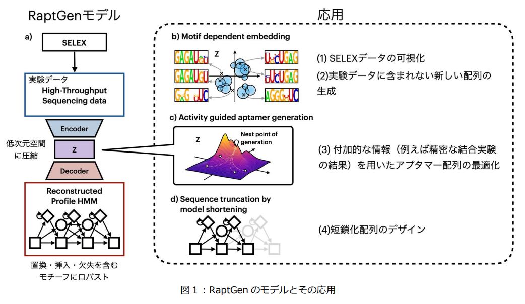 人工知能技術を応用した基盤情報技術RaptGenを開発 早稲田大学と 