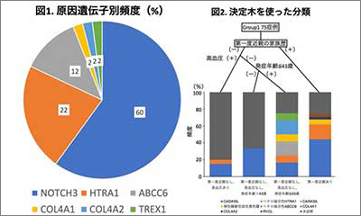 日本人の遺伝性脳小血管病の種類毎頻度解明 新潟大学 | 医薬通信社